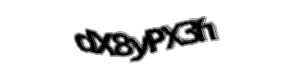 Security check image, please type the characters shown