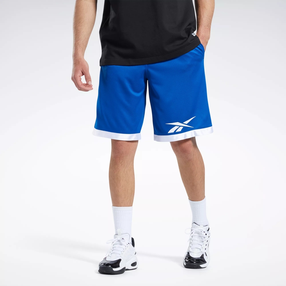 Reebok Basketball Men's Mesh Shorts (L, Vector Blue)