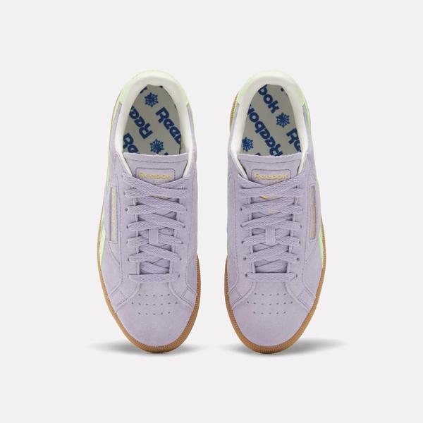 Club C Grounds UK Shoes Dusk Purple Astro Lime Gum Reebok