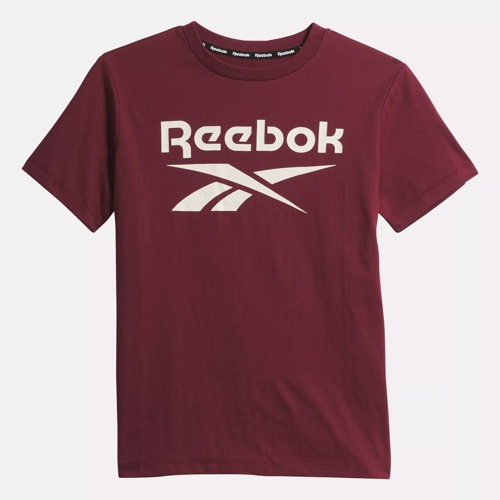  Reebok Boys' Little Big Logo Color Block T-Shirt, True red, 4:  Clothing, Shoes & Jewelry