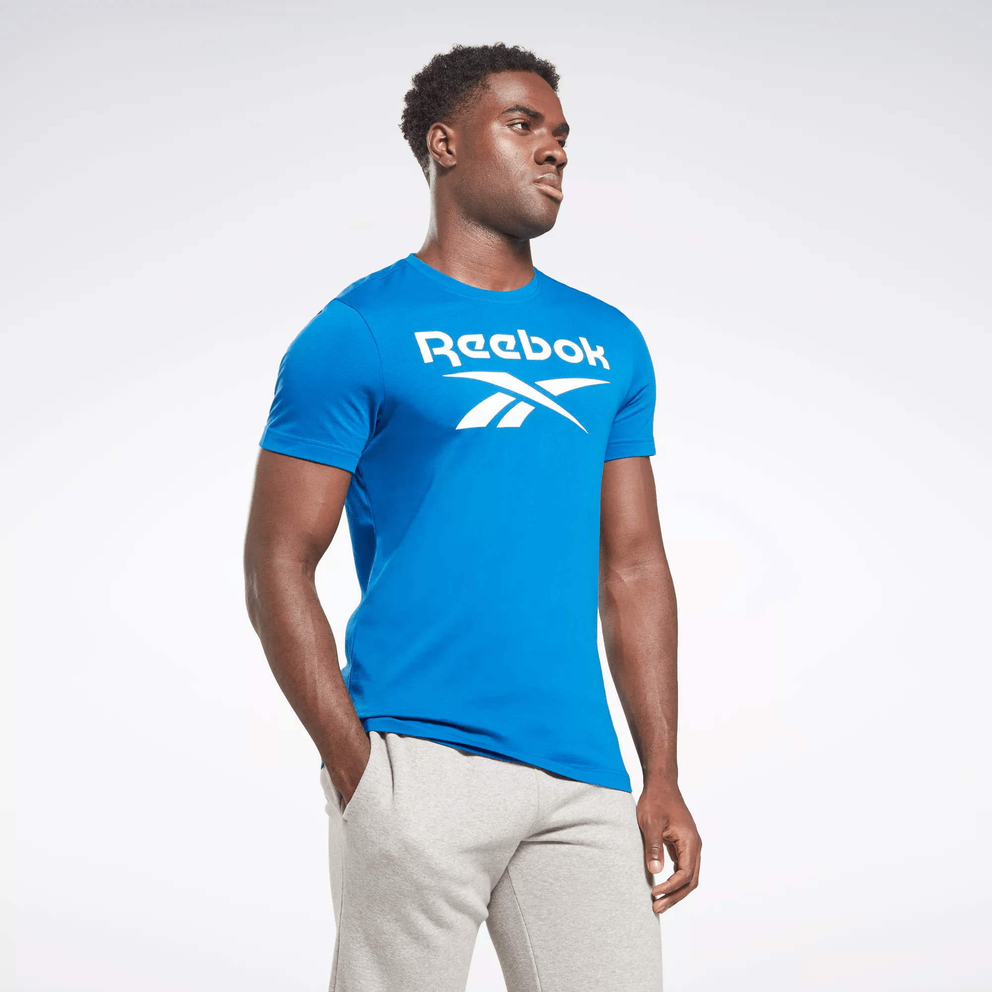 Reebok Identity Big Logo T-shirt In Blue